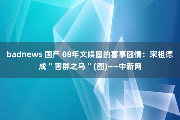 badnews 国产 08年文娱圈的喜事囧情：宋祖德成＂害群之马＂(图)——中新网