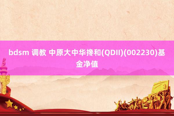 bdsm 调教 中原大中华搀和(QDII)(002230)基金净值