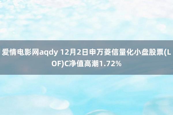 爱情电影网aqdy 12月2日申万菱信量化小盘股票(LOF)C净值高潮1.72%