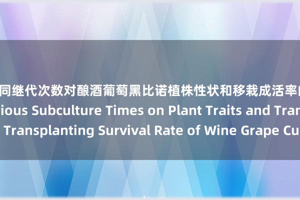 ai 萝莉 不同继代次数对酿酒葡萄黑比诺植株性状和移栽成活率的影响The Effect of Various Subculture Times on Plant Traits and Transplanting Survival Rate of Wine Grape Cultivar “Heibinnuo”