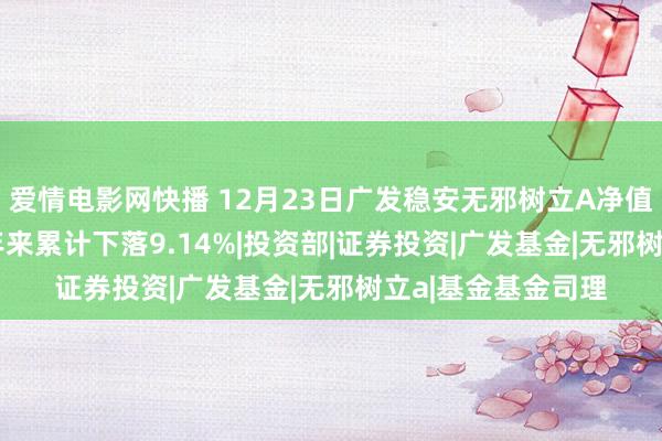 爱情电影网快播 12月23日广发稳安无邪树立A净值下落0.70%，本年来累计下落9.14%|投资部|证券投资|广发基金|无邪树立a|基金基金司理
