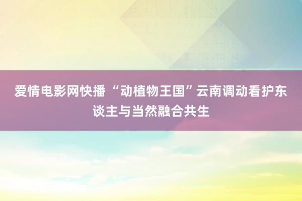 爱情电影网快播 “动植物王国”云南调动看护东谈主与当然融合共生