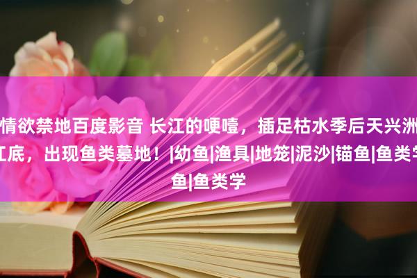情欲禁地百度影音 长江的哽噎，插足枯水季后天兴洲江底，出现鱼类墓地！|幼鱼|渔具|地笼|泥沙|锚鱼|鱼类学