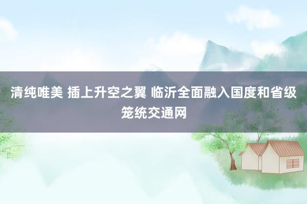 清纯唯美 插上升空之翼 临沂全面融入国度和省级笼统交通网