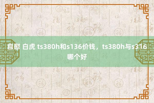 自慰 白虎 ts380h和s136价钱，ts380h与s316哪个好