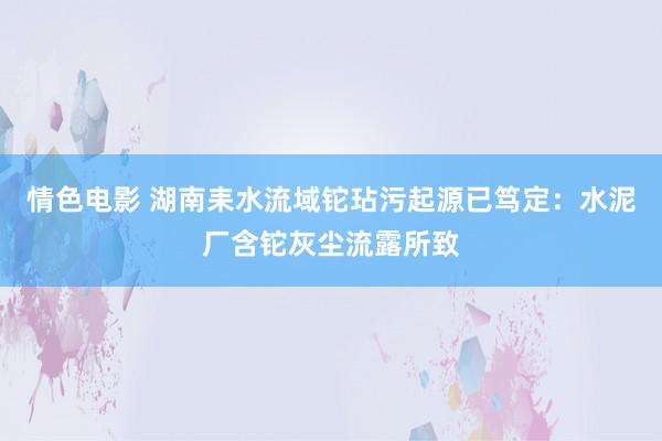 情色电影 湖南耒水流域铊玷污起源已笃定：水泥厂含铊灰尘流露所致