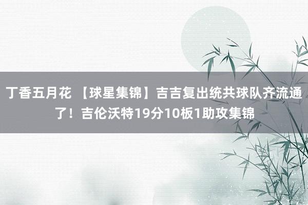 丁香五月花 【球星集锦】吉吉复出统共球队齐流通了！吉伦沃特19分10板1助攻集锦