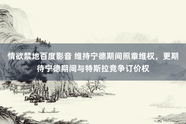 情欲禁地百度影音 维持宁德期间照章维权，更期待宁德期间与特斯拉竞争订价权
