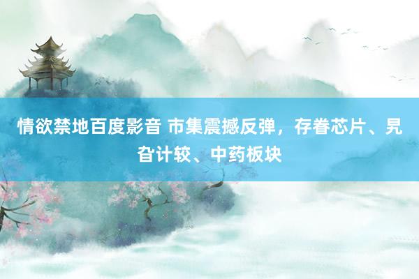 情欲禁地百度影音 市集震撼反弹，存眷芯片、旯旮计较、中药板块