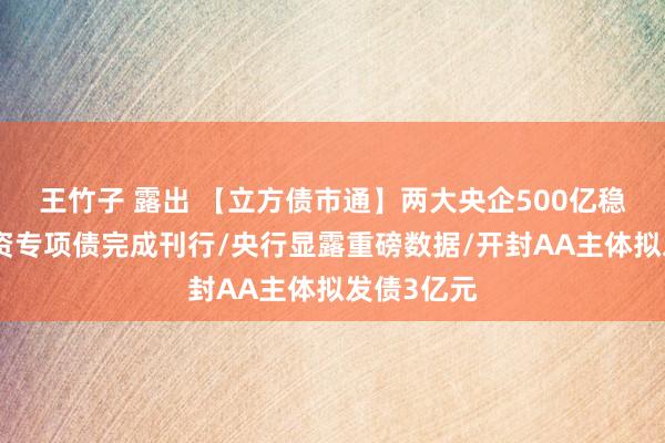 王竹子 露出 【立方债市通】两大央企500亿稳增长扩投资专项债完成刊行/央行显露重磅数据/开封AA主体拟发债3亿元