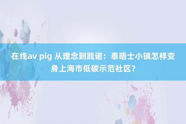 在线av pig 从理念到践诺：泰晤士小镇怎样变身上海市低碳示范社区？