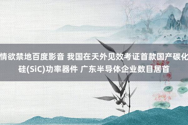 情欲禁地百度影音 我国在天外见效考证首款国产碳化硅(SiC)功率器件 广东半导体企业数目居首