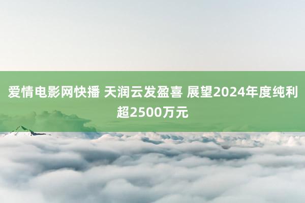 爱情电影网快播 天润云发盈喜 展望2024年度纯利超2500万元